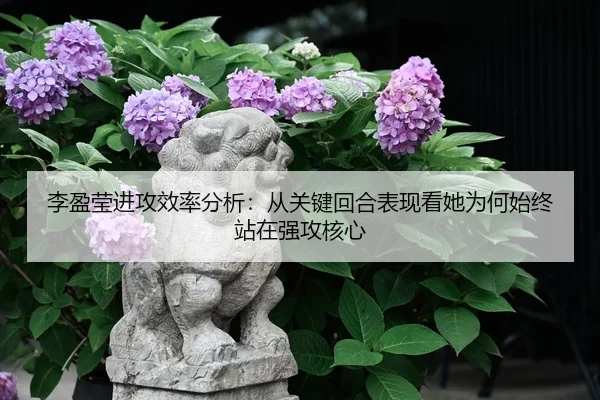 img_1780581632580_16_1_808.jpg